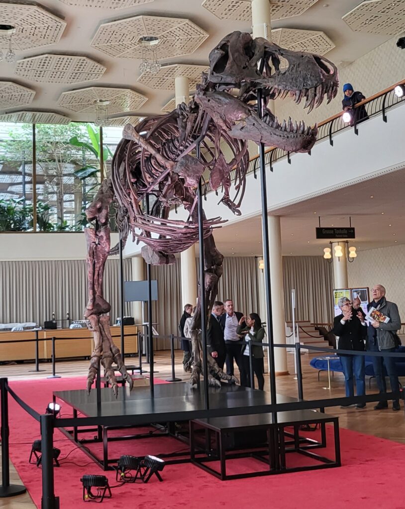 A T. rex skeleton stands on a black platform in a elegant room with a small group of people looking at it.