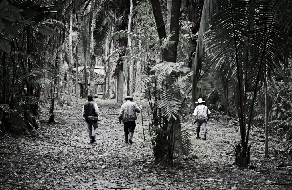 It is no wonder Ixtontón was hard for archaeologists to find. Look at that jungle cover. Photo by Rony Rodríguez