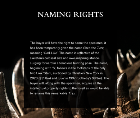 Screen shot of the Christie's website with a block of text titled "Naming Rights" placed over a close up of a T. rex jaw. The key sentence "the buyer will, along with the specimen, acquire all the intellectual property rights to the fossil" is included near the end of the text.
